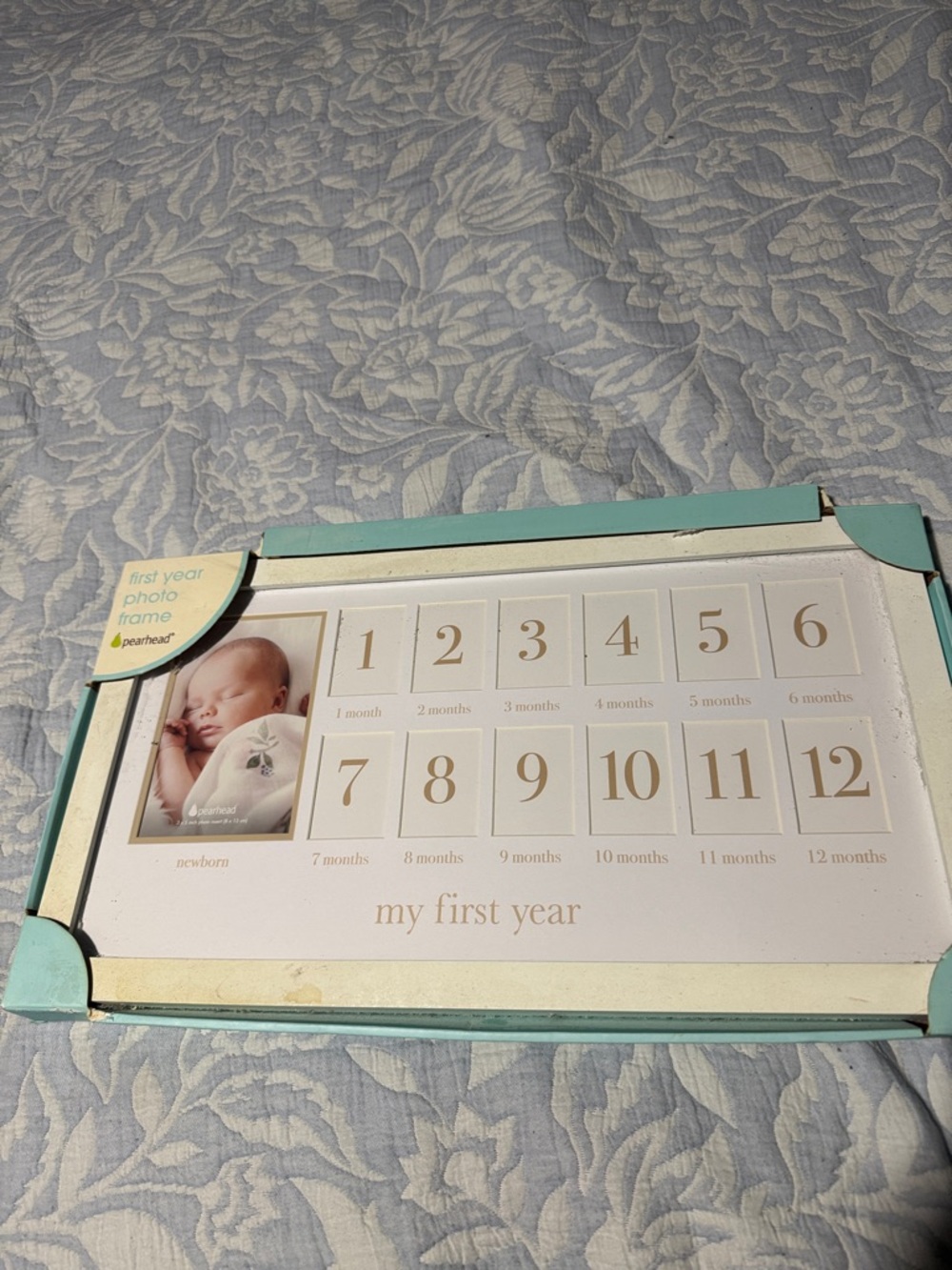 Pearhead Mint and Cream "My First Year" Monthly Photo Frame